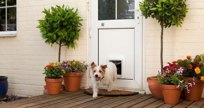 installing best electronic pet doors